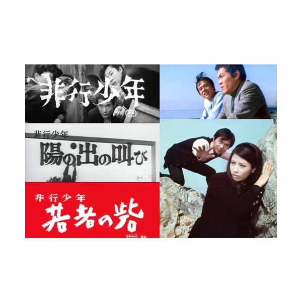 劇映画非行少年シリーズ昭和の名作ライブラリー第161集【レビュ