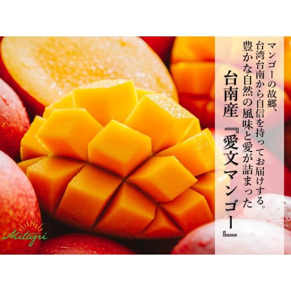 先行予約特価 完売御礼 数量限定 Mitagri 台湾マンゴー 5kg 10 16玉 Tw Mango 01 レインボーフレッシュ 通販 Yahoo ショッピング