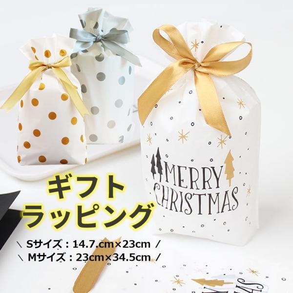【Xmas・中 5枚セット】ギフトラッピング クリスマス ラッピング 用品 包装 ギフト 袋 wrapping バレンタイン 誕生日 バースデー お正月 お祝い プレゼント
