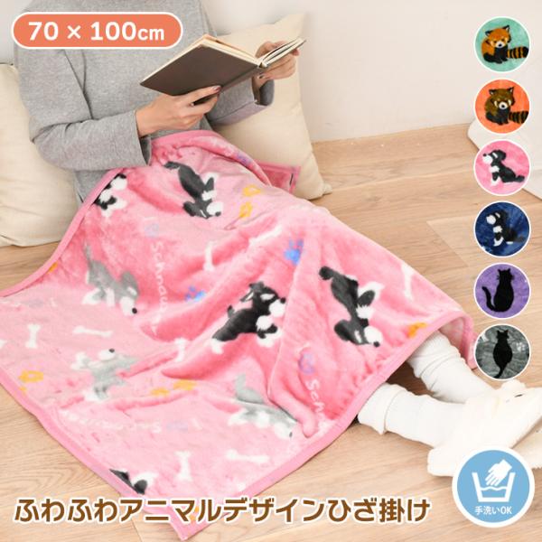 アニマルデザインが可愛い、ふわふわで暖かいブランケットふわふわのニューマイヤー生地を使用コンパクトなサイズ感で、おうちはもちろん、オフィスや学校、車内などでも活躍します手洗いできるのでいつでも清潔にお使いいただけます◎同じ柄の毛布も取り扱っ...