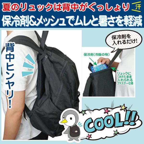 ۗܓ P[X Jo[ bN obO hZ LbY q ʋ ʊw oZ  ΍ M  Ђ  |Cg