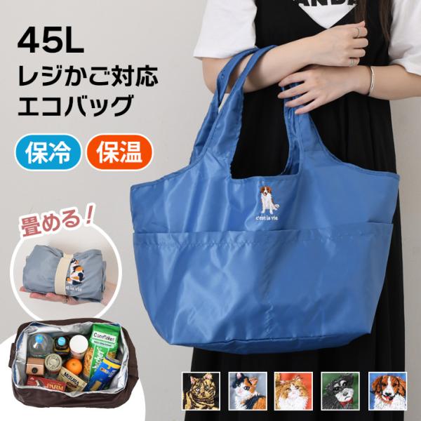 ヒスミニエコバッグレジカゴバッグウォールポケット ヒスミニ レジカゴバッグ エコバッグ トートバック レディース