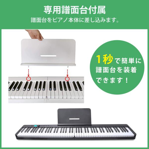 rainforest-y_piano-af0061_9 rainforest-y_piano-af0061_9