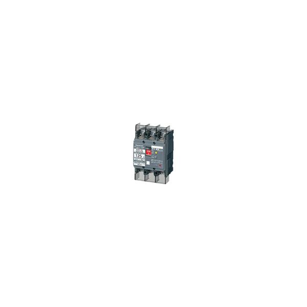 【中古】 パナソニック Panasonic BJW-125 2P100A30mA BJW21003K Panasonic（パナソニック） BJW21003K BJW-125 2P100A30mA ブレーカー