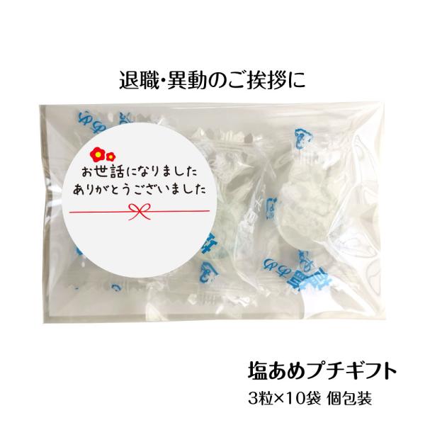 退職 プチギフト お世話になりました 塩あめ 10袋セット 個包装 メッセージシール付き 異動 お礼 感謝 ありがとう ばらまき 夏 塩分補給 職場 転校 キャンディー