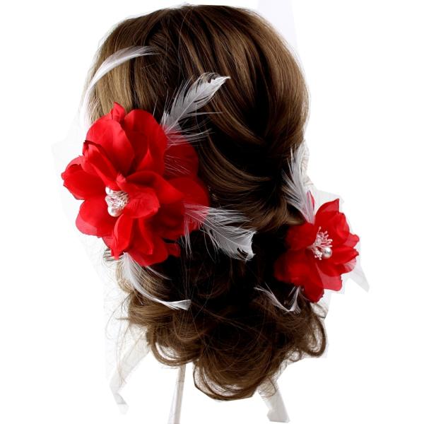  l  a tFU[tORT[W bh wAANZT[ wbhhX