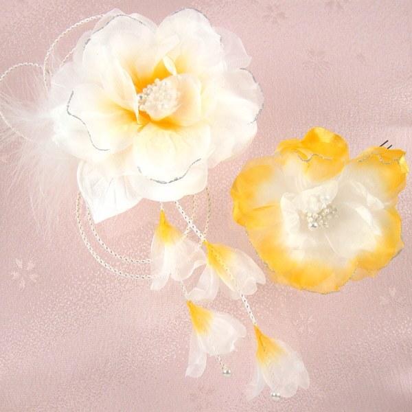  l  a ؂₩t@[tVtHRT[W R wAANZT[ wbhhX