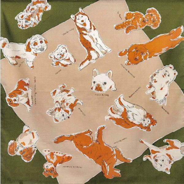 MISATO ASAYAMA ȑ唻C~ ӂ낵 DOGS(hbOY)l(97cm) GRobO v[g hV̓ ̓ ̓