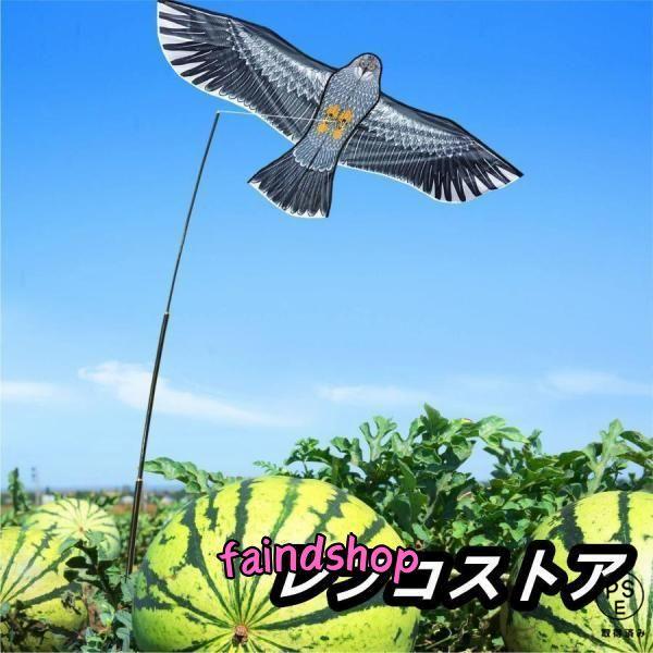 鳥よけ カイト 鷹 (ポール竿付) 軽量丈夫 防鳥具 鳥追い 畑 植物保護 農業用 カイト鷹 1.5m凧 4mポール
