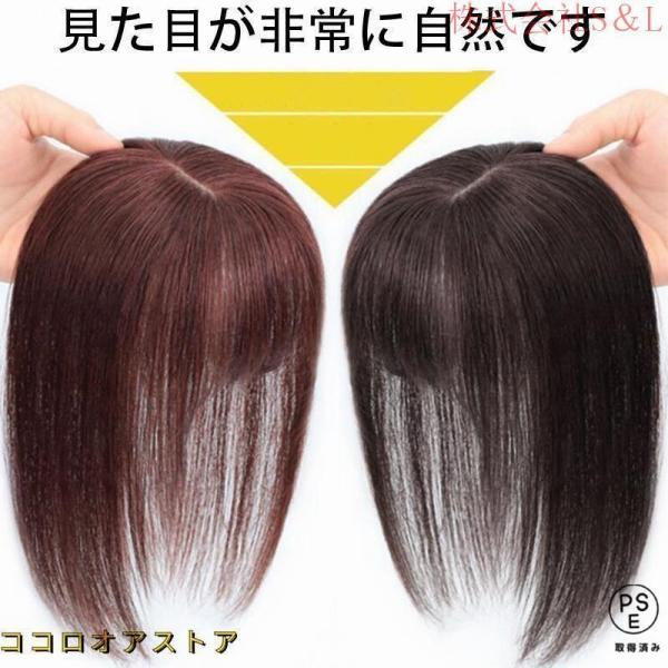 ヘアネットサイズ：8*12cm、13*13cm（つむじ部分引き抜き式）ウィッグカラー：ブラック、ブラウンウィッグ長さ：20cm、30cm、40cmご自分の必要により、適当なサイズをご選択ください。二重構造＆引き抜き式こちらのつむじ部分には、...