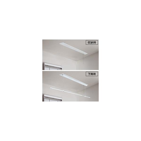 pi\jbN CWFBT11LM jbg zVPT} Vt 1{E蓮  OTCY t^t(CWFT11LM̌pi) (@l)