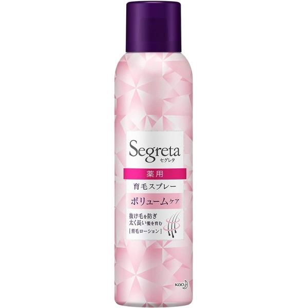 ԉ ZO^ уXv[ {[PA 170g