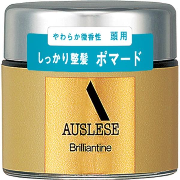 【新品・未使用】資生堂　アウスレーゼ ブリランチンN 80g おまけ付き rakushindenki_4901872330836