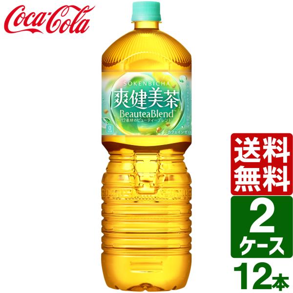けんびは  健美葉  100g 2袋セット 爽健美茶】爽健美茶(1ケース)｜楽天マート - ネットスーパー