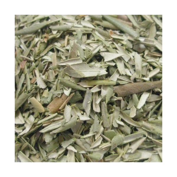 I[u [t 100L@JASn[u SFLڂȂ