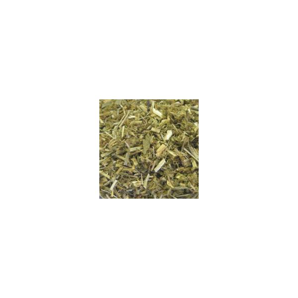 S[c[@t`CbN@100L@JASn[u SFLڂȂ