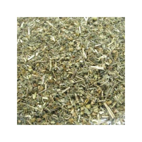 z[[oW/gDV[ Jbg 100@KBA@COF؃I[KjbN@n[u SFLڂȂ