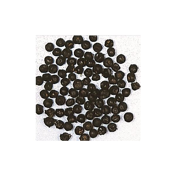 ジュニパーベリー 100g有機JASハーブ 安全性：2b 2d　