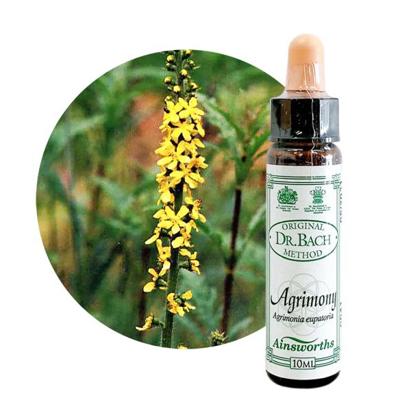 アグリモニー Agrimony 10ml エインズワース 英国王室御用達　高濃度のバッチフラワーエッセンス Ainsworths  正規輸入品