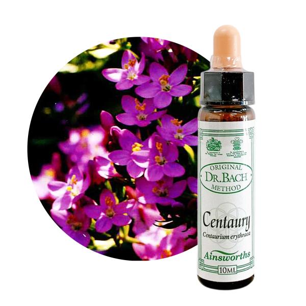 セントーリー　Centaury 10ml エインズワース 英国王室御用達　高濃度のバッチフラワーエッセンス Ainsworths  正規輸入品