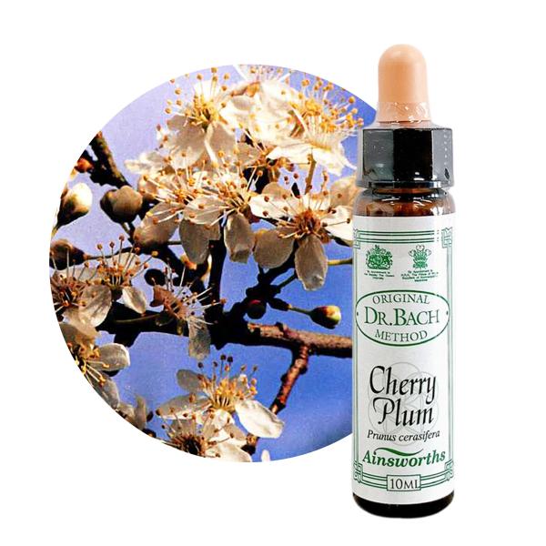 エインズワース バッチフラワーエッセンス　チェリープラム　Cherry Plum10ml 英国王室御用達   正規輸入品 衝動買い過食ギャンブルなどへの 自制心