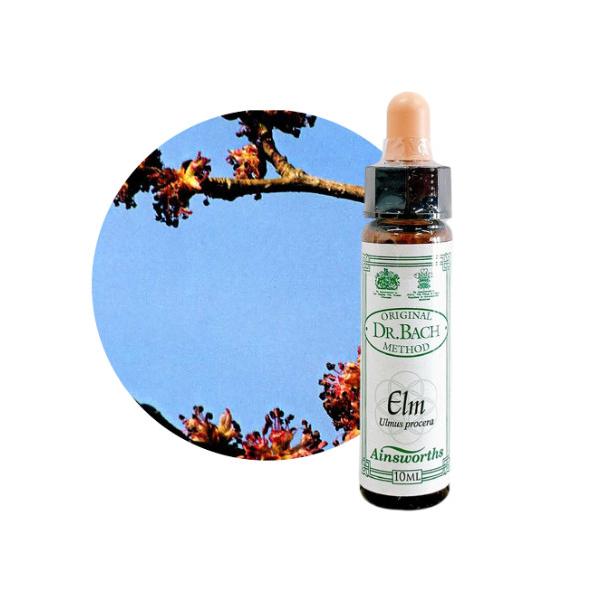 エルム　Elm 10ml エインズワース 英国王室御用達　高濃度のバッチフラワーエッセンス Ainsworths  正規輸入品