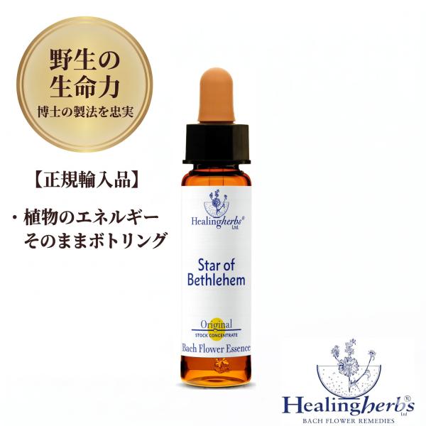 ヒーリングハーブス スターオブベツレヘム　Healing Herbs　10ml バッチフラワーレメディ 正規輸入品 1:360　いい人からの卒業し、主張できるように