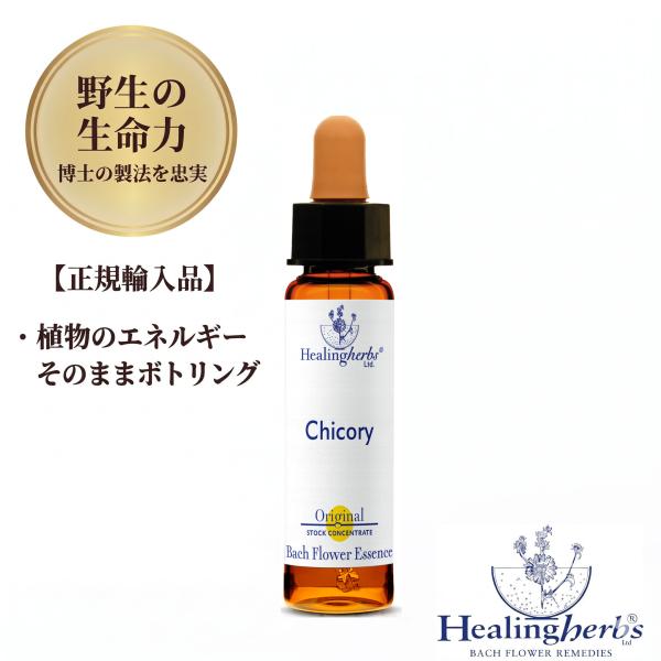 チコリー  Chicory  10ml ヒーリングハーブス 生命力が息づく野生の バッチフラワーレメディ 正規輸入品「 見返りを求めない愛情が持てるように