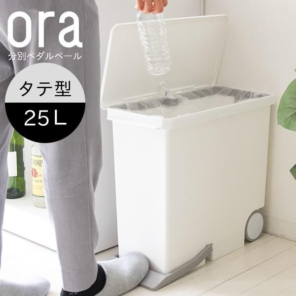 S~   Wt _Xg{bNX ݔ y_y[ LX^[ { i X 25bg