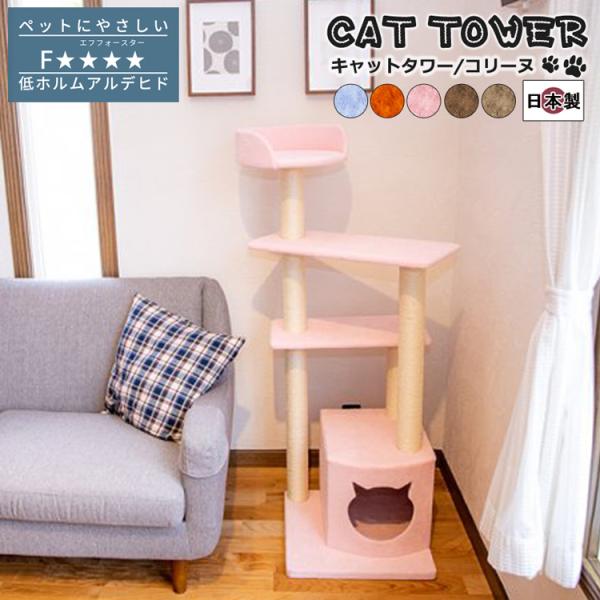 Lbg^[ L xbh ^s ܂Ƃ R h { El̎i zAfqh