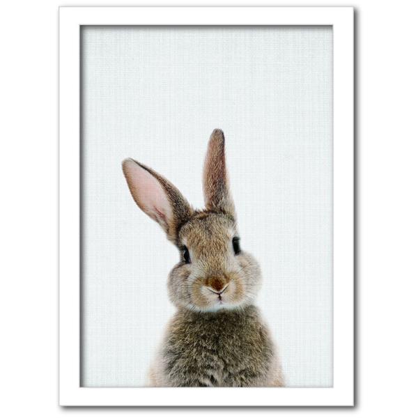 t@ubNpl A[gt[  킢  Ǌ| EH[fR[V ETM  Animal Children series Rabbit 317x440mm