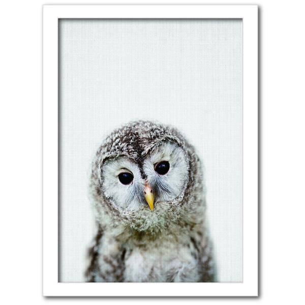 t@ubNpl A[gt[  킢  Ǌ| EH[fR[V tNE ӂ낤  Animal Children series Owl 317x440mm