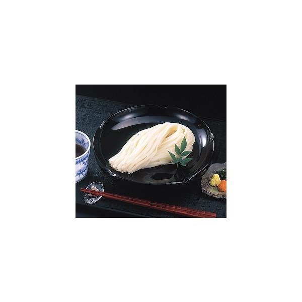 冷凍真打 稲庭風うどん ミニダブル 250g 5玉入り袋ｘ8袋 Xponent Se