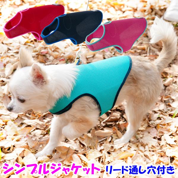 アウトレット 返品交換不可 犬 ジャケット ラロック シンプルジャケット メッシュ SS・Sサイズ 小型犬用 ドッグウェア メール便のみ送料無料