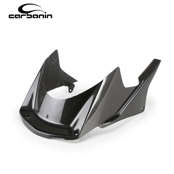 Carbonin CH20020 カーボン リアフェンダー HONDA CBR1000RR-R (20