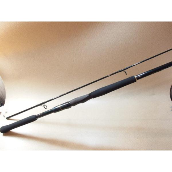 ダイワ チームダイワ S ソルトウォーター S902MLFS マルチレングス