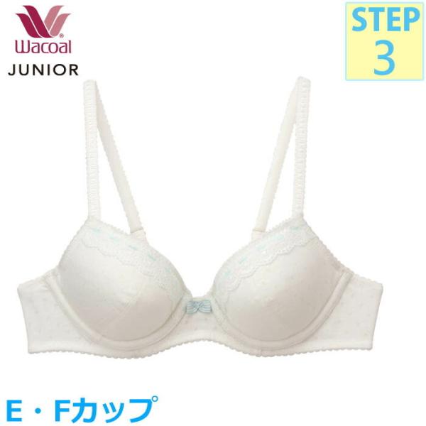 Wacoal R[ WjAuW[ (EJbvEFJbv)tFA[eBA UC[u 3/4Jbvu Xebv3 CFX341 yPz