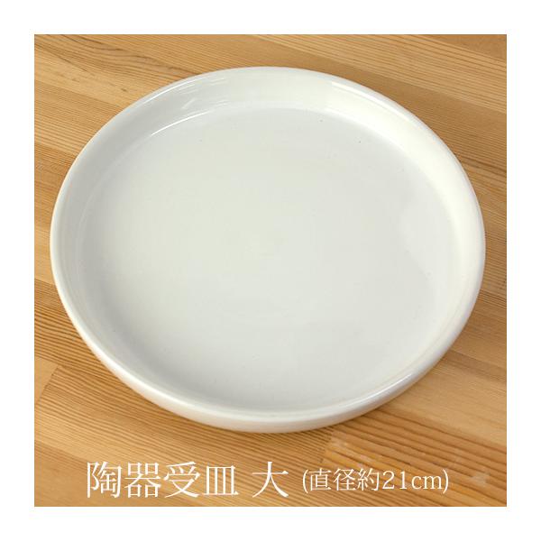 【商品情報】◆種類：陶器製 受け皿（中）◆色：ホワイト◆当店胡蝶蘭での適合商品…当店「大輪3~5本立、中輪〜中大輪5本立」用（同梱可）◆ご案内：こちらの商品は≪単品購入不可≫の商品となります。単品でご購入頂いた場合はキャンセル処理をさせて頂...