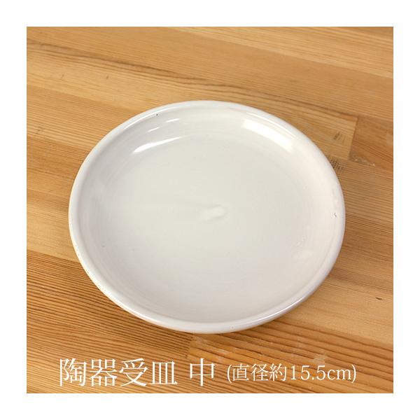 【商品情報】◆種類：陶器製 受け皿（中）◆色：ホワイト◆当店胡蝶蘭での適合商品…当店「中輪〜中大輪胡蝶蘭2~3本立ち」用（同梱可）◆ご案内：こちらの商品は≪単品購入不可≫の商品となります。単品でご購入頂いた場合はキャンセル処理をさせて頂きま...