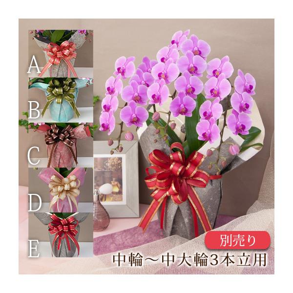中輪〜中大輪胡蝶蘭3本立ち に対応。※ミディ〜中大輪の2本立ち胡蝶蘭には「2本立ち用有料ラッピング」をお買い求めください。※大輪胡蝶蘭や5本立ち胡蝶蘭には「大輪用有料ラッピング」をお買い求めください。