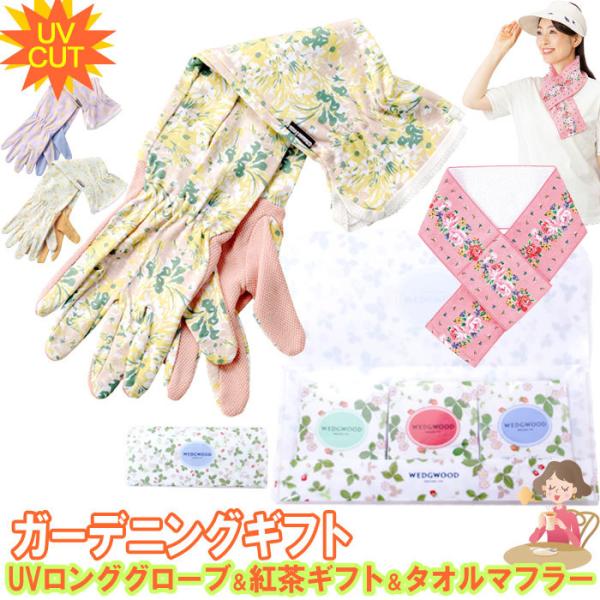 ゆうパケット送料無料 ガーデニング ギフト セット Uvカット ロンググローブ 紅茶 ネックタオル 母の日 プレゼント ギフト Z Garden Set14 Buyee Buyee Japanese Proxy Service Buy From Japan Bot Online
