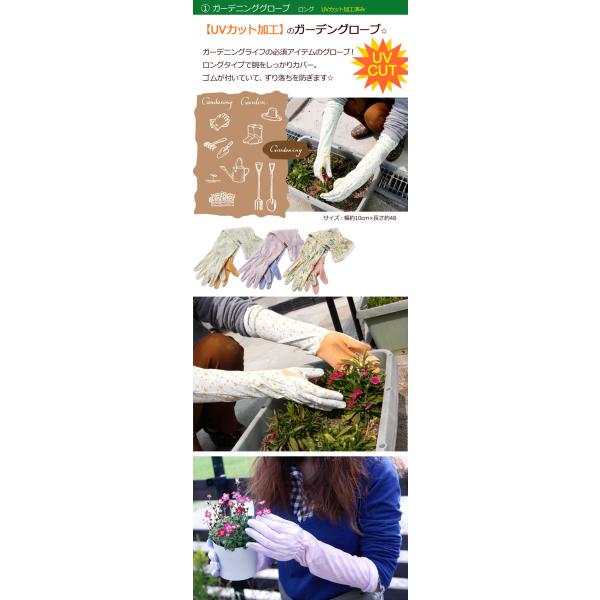 ゆうパケット送料無料 ガーデニング ギフト セット Uvカット ロンググローブ 紅茶 ネックタオル 母の日 プレゼント ギフト Z Garden Set14 Buyee Buyee Japanese Proxy Service Buy From Japan Bot Online