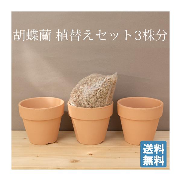 ３株分　3.5号　3.8号　自分で育てる楽しみ　胡蝶蘭用 植替えセット　胡蝶蘭の育て方リーフレット付　自分で植え替え [g-uekae02]