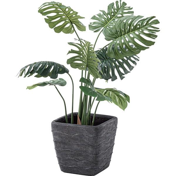 フェイクグリーン モンステラ インテリアグリーン 人工観葉植物 お部屋作り おうち時間 装飾 インテリア オシャレ おしゃれ Grn 11 Azumaya 東谷 Az0807 Randm 通販 Yahoo ショッピング