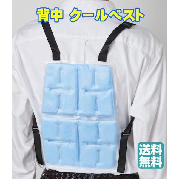 背中クールベストリュック派必見！ 繰り返し使えるエコなクールアイテムです。冷蔵庫で冷やすだけで使えます。背中を冷やせるクールベストです。約28℃以下で自然凍結。背中にこもりがちな熱をやさしくクールダウン。使用前に冷蔵庫で冷やしてください。流...