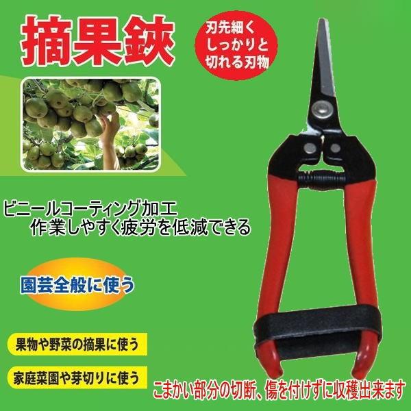 E@Ă͂݁@|@ʕ//ƒ؉/؂@rj[R[eBOH@Jy@[֑