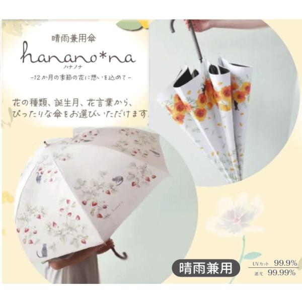 rankup_jk-168-070522