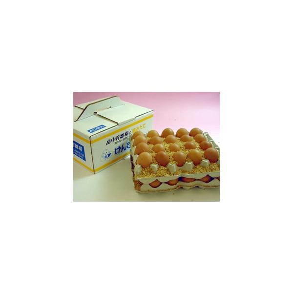 �� �{�� ���S�� ���i�g����40���i����ᖡ�[�f���j