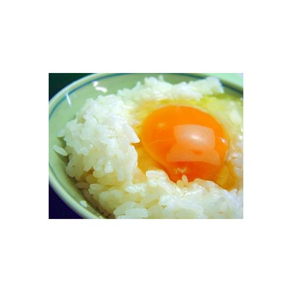 �� �{�� ���S�� ���i�g����80���i����ᖡ�[�f���j