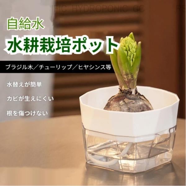 水耕栽培ポット 自給水 球根水耕栽培ポット クリア PET プラスチック チューリップ ヒヤシンス 室内デスク用水耕植木鉢 室内デスクプランター 爆買